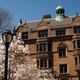 Image for article titled Now-Former Yale Women's Soccer Coach Accused of Sexual Misconduct in 2009